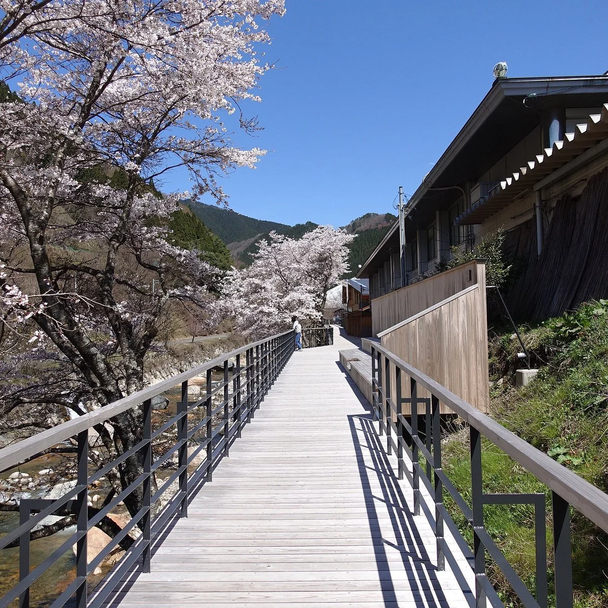 Michi-no-Eki Awaku Land
