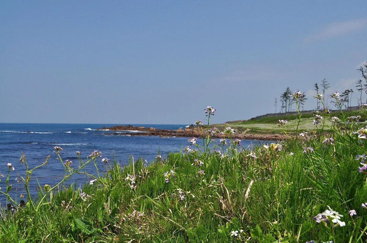 Mikunicho Seaside Nature Park