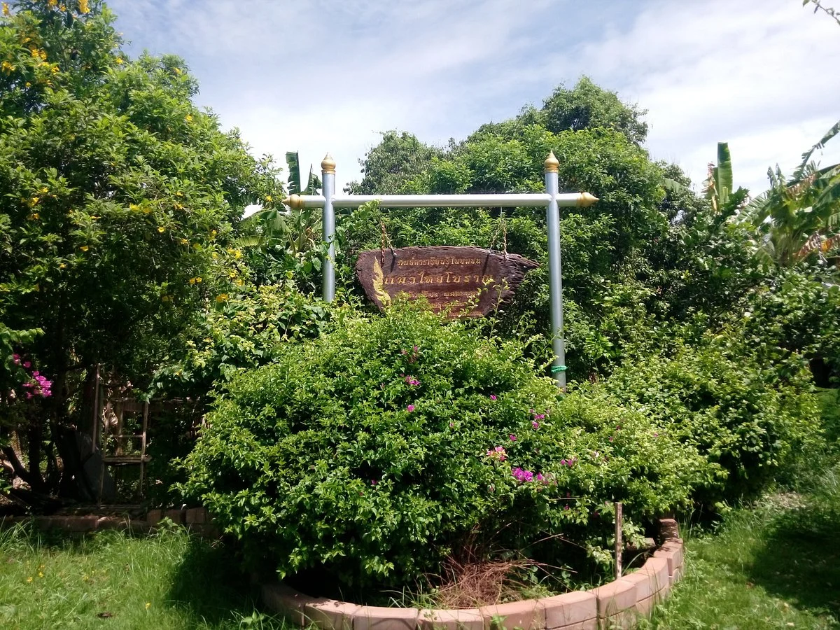 Thai Cat Center