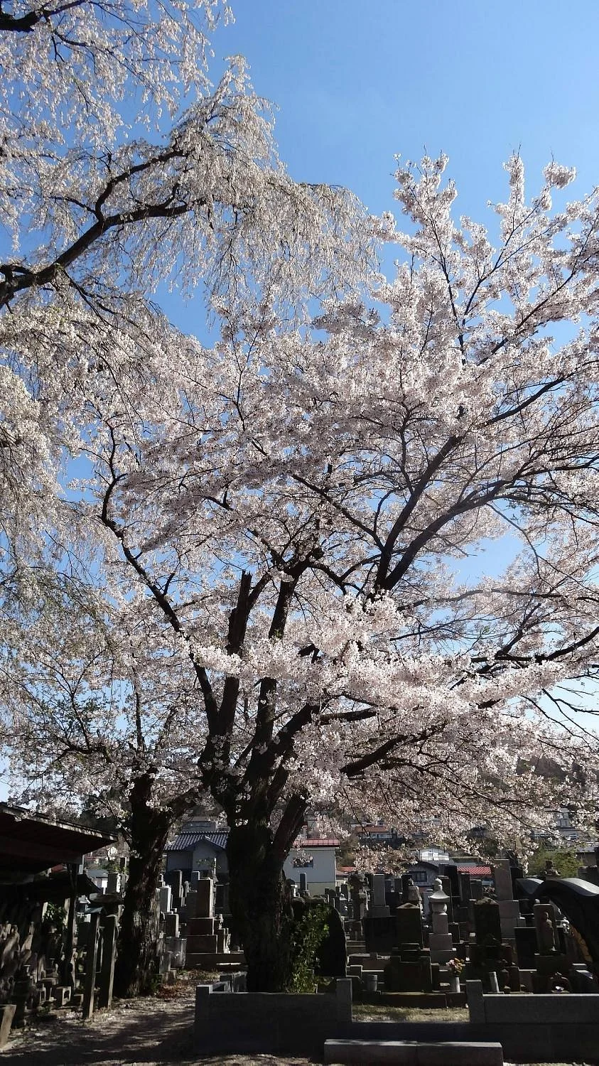 Myotokuji Temple