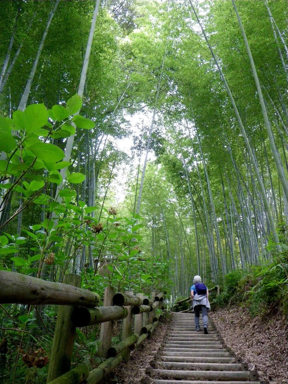 Sakafuneishi