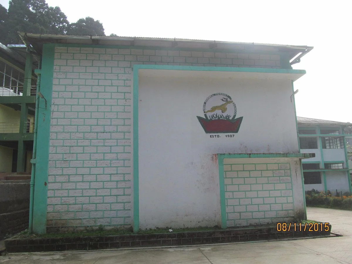 Forest Museum
