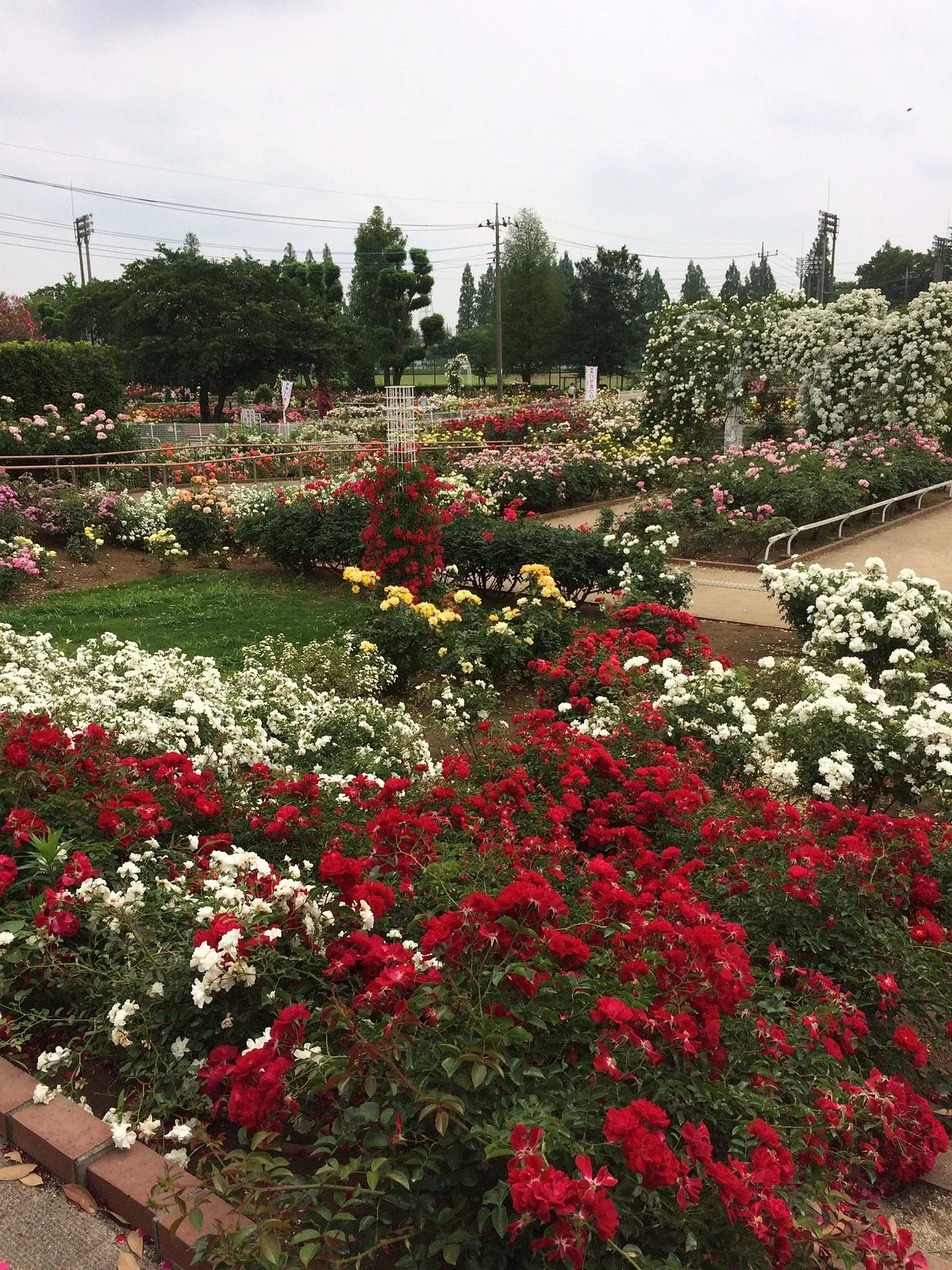 Ina Choseishiko Memorial Park