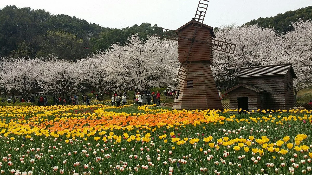 Shangfang Mountain