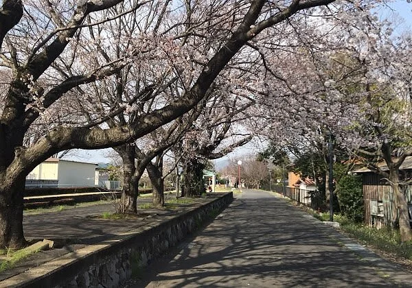 Tsukuba Rinrin Road