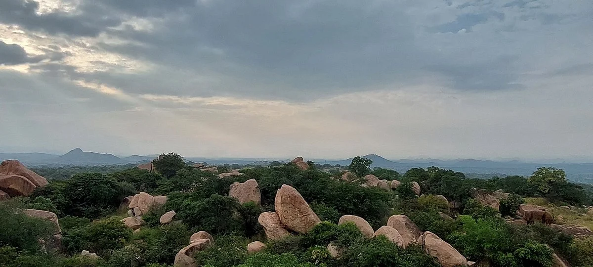 Daroji Bear Sanctuary