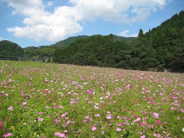Higashisanbe Flower Valley