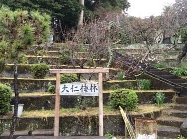 Ohito Plum Grove