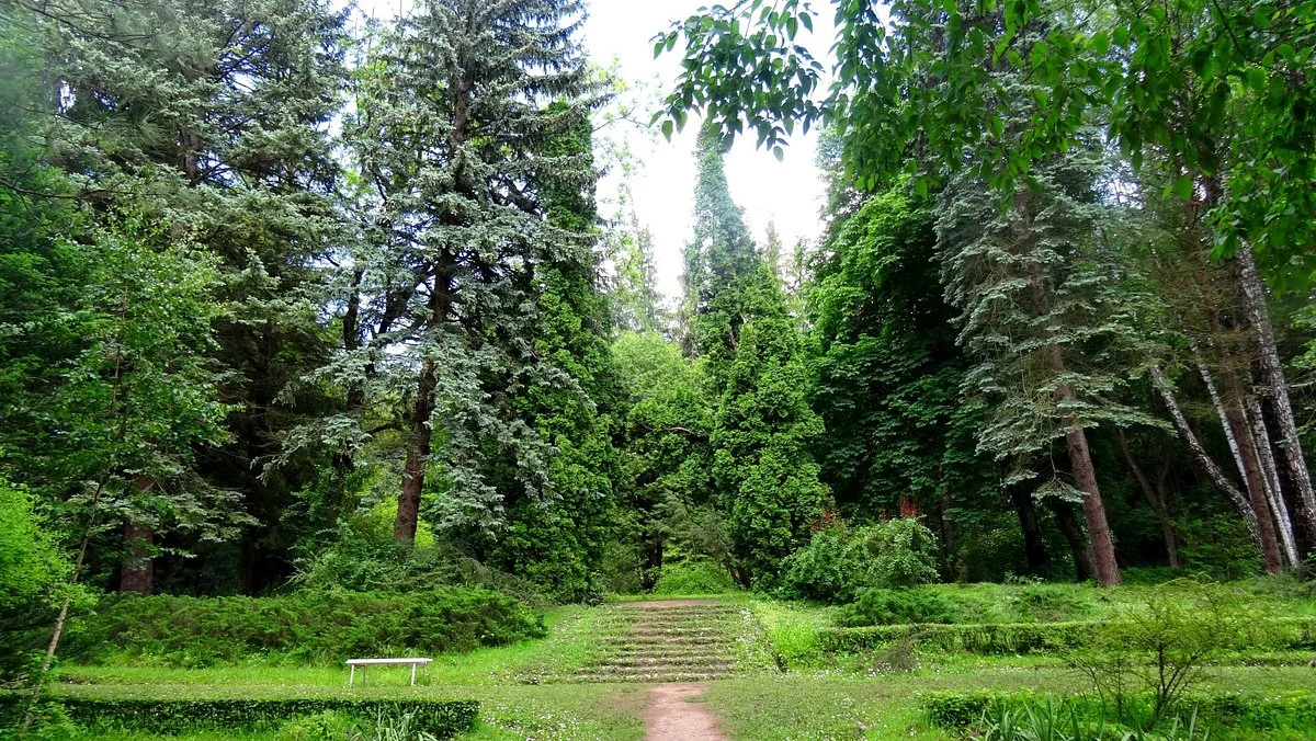 Stepanavan Sochut Dendropark