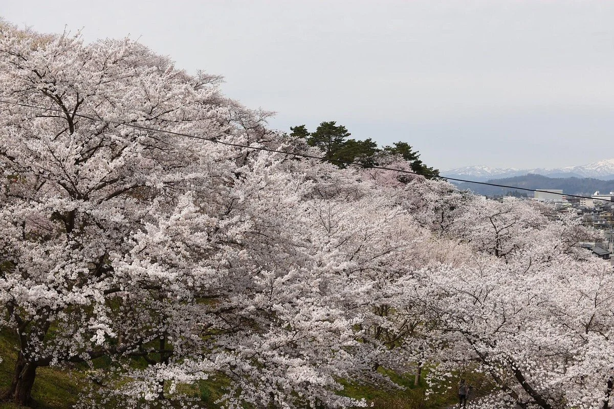 Eboshiyama Park