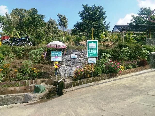 Setiya Aji Flower Farm