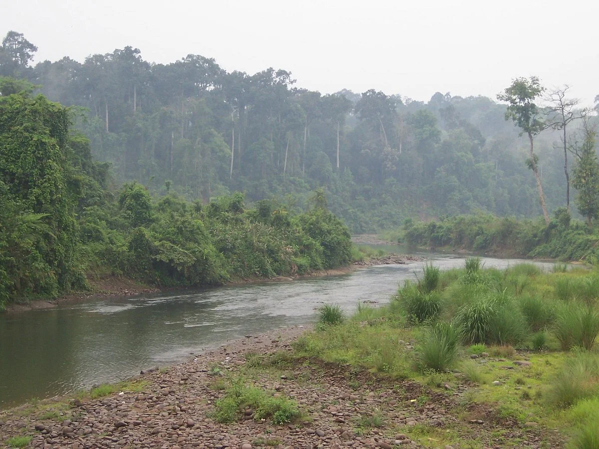 Dehing Patkai Wildlife Sanctuary