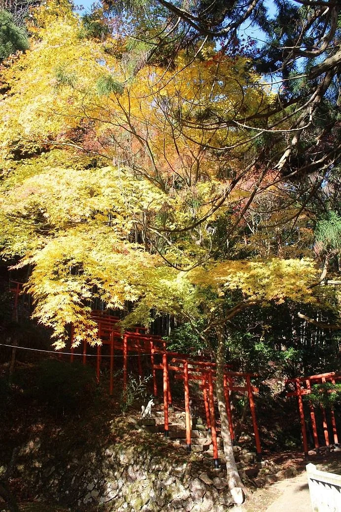 Dokan Inari Shrine