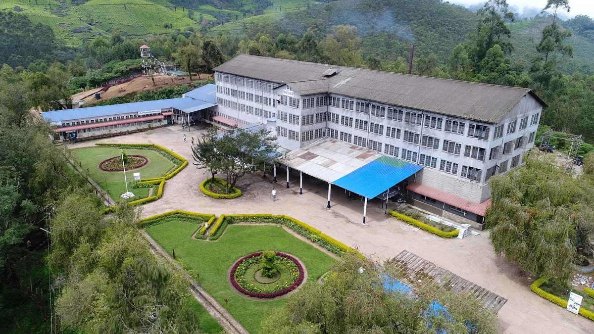 Lockhart Tea Tourism