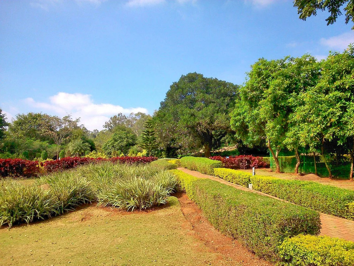 Government Herbal Farm