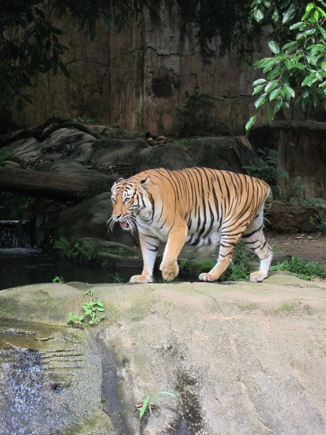 Zoo Melaka