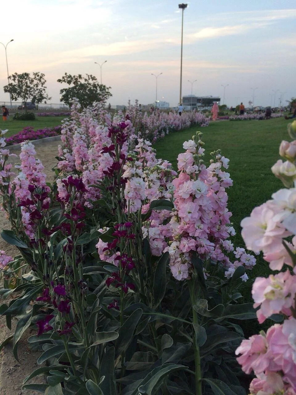 Maj Khalid Shaheed Park