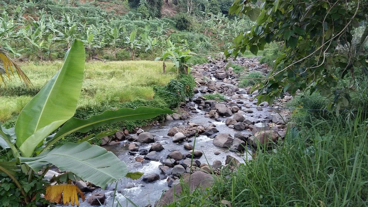 Giritirta Hot Spring and Spa