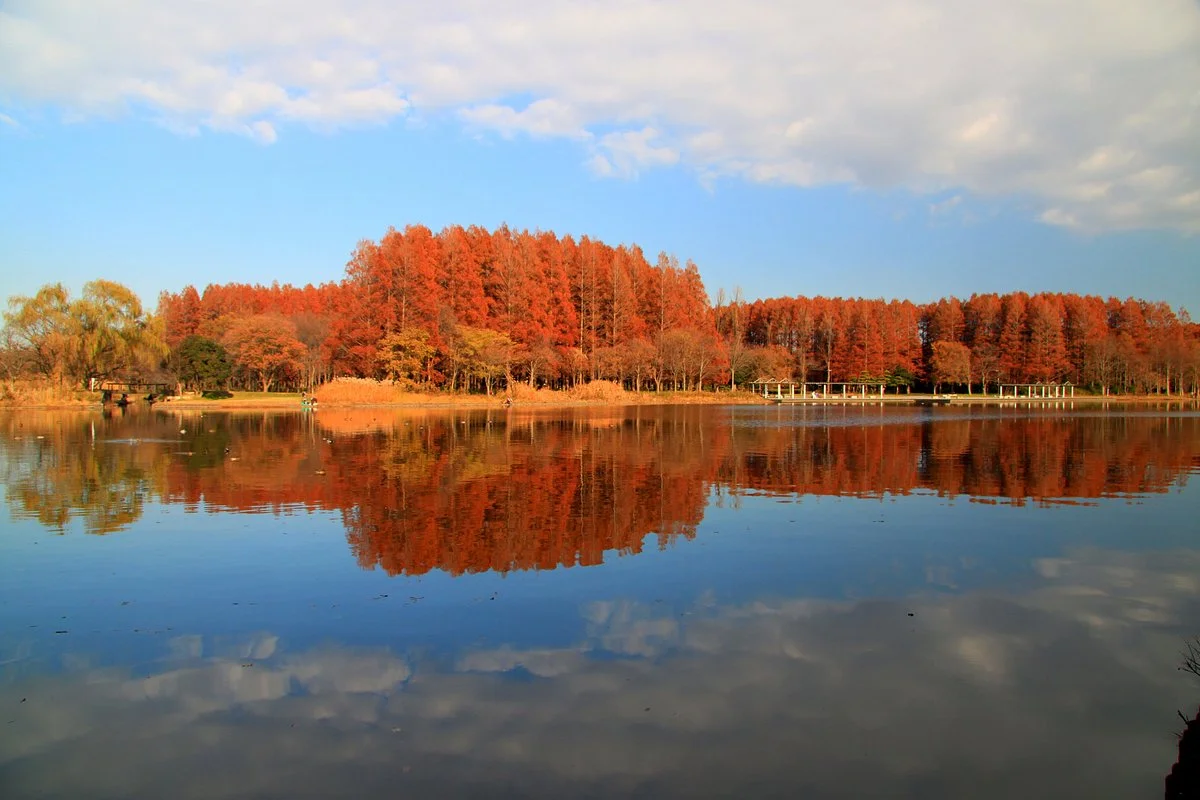 Misato Park