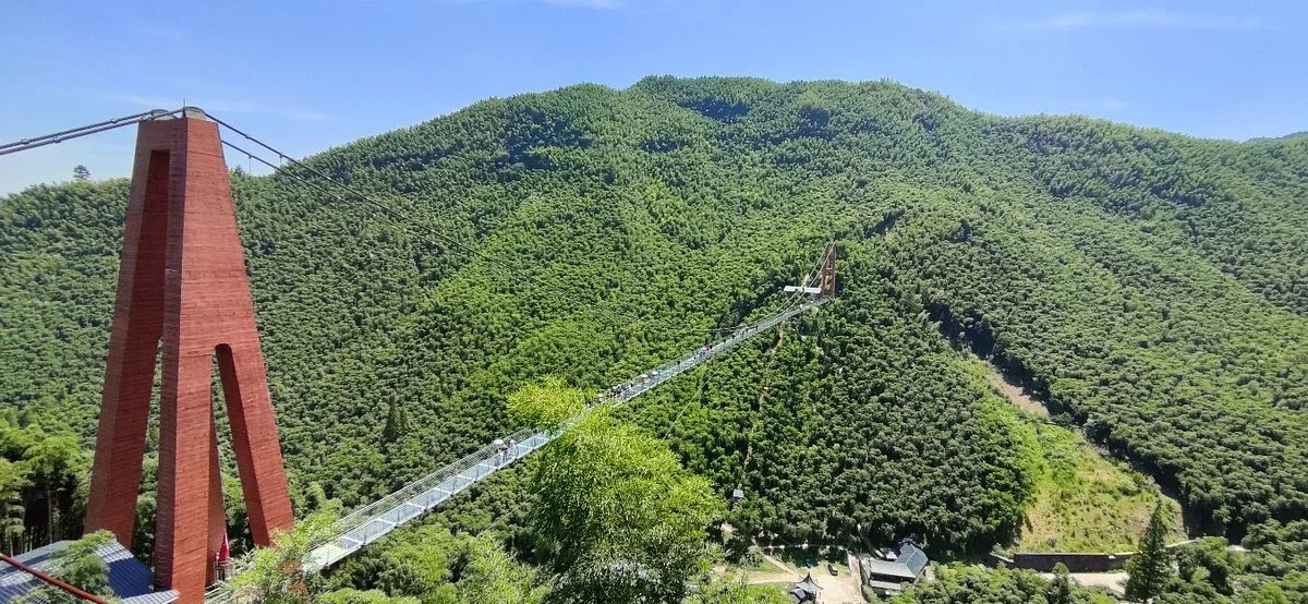 Bamboo Park