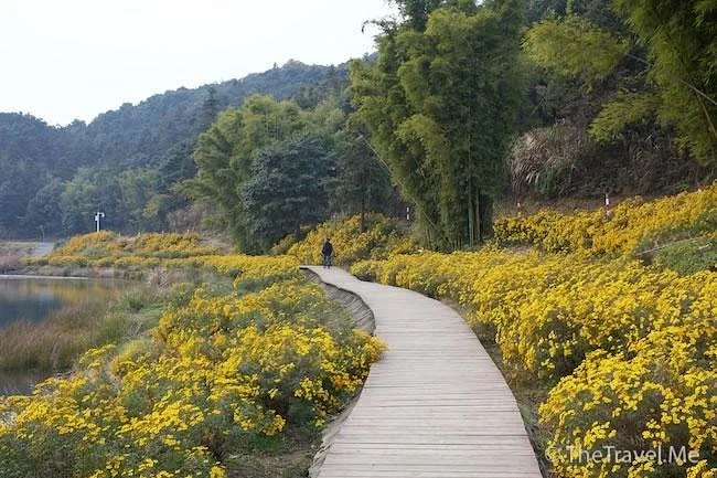 Shimen National Forest Park