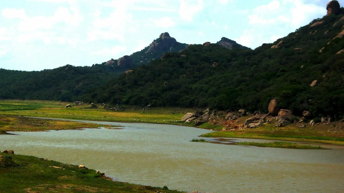 Panchapalli Dam