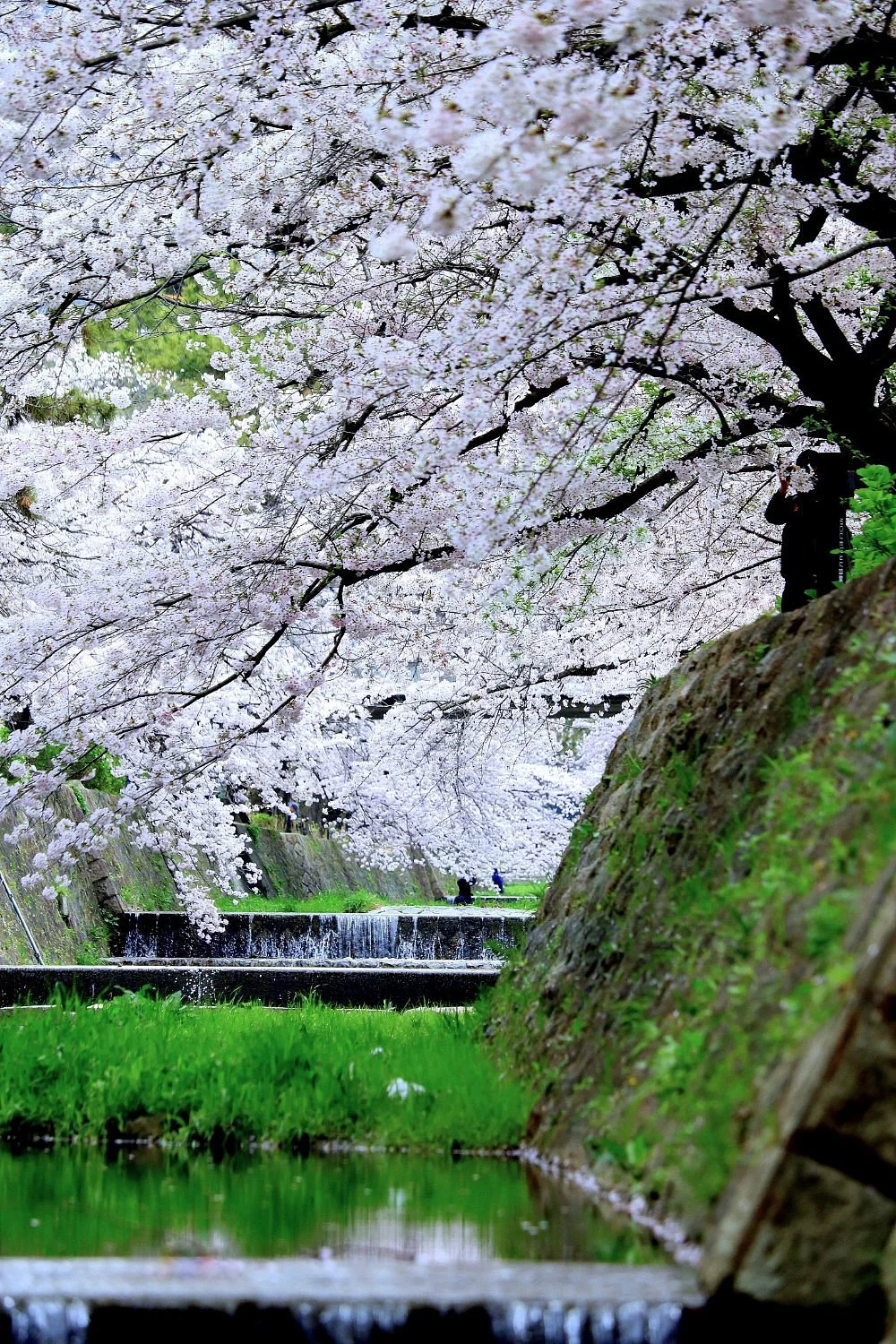 Shukugawa Park