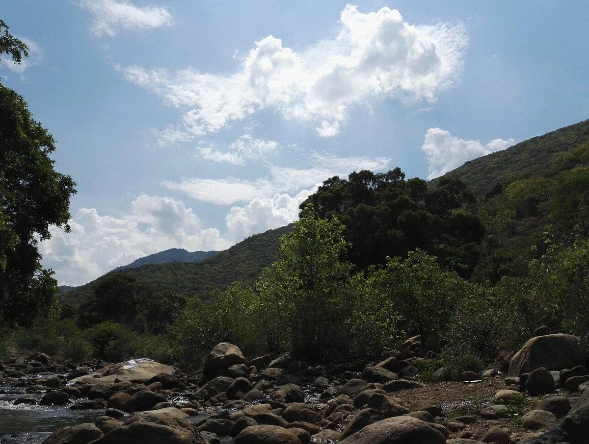 Puliyancholai Falls