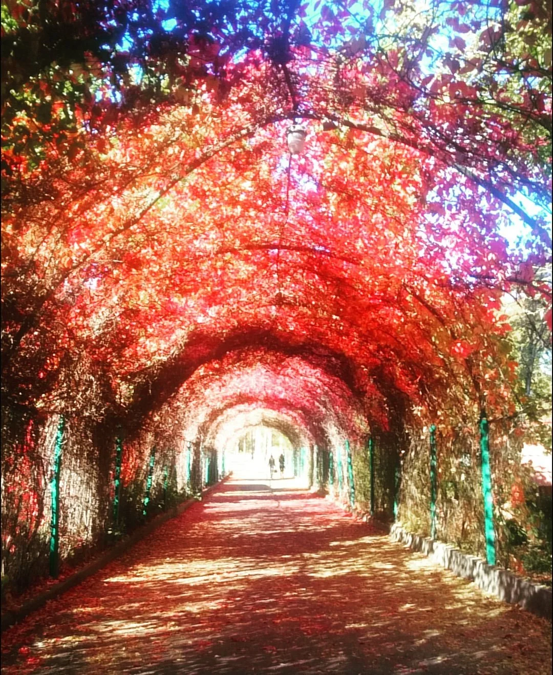 Yerevan Botanical Garden
