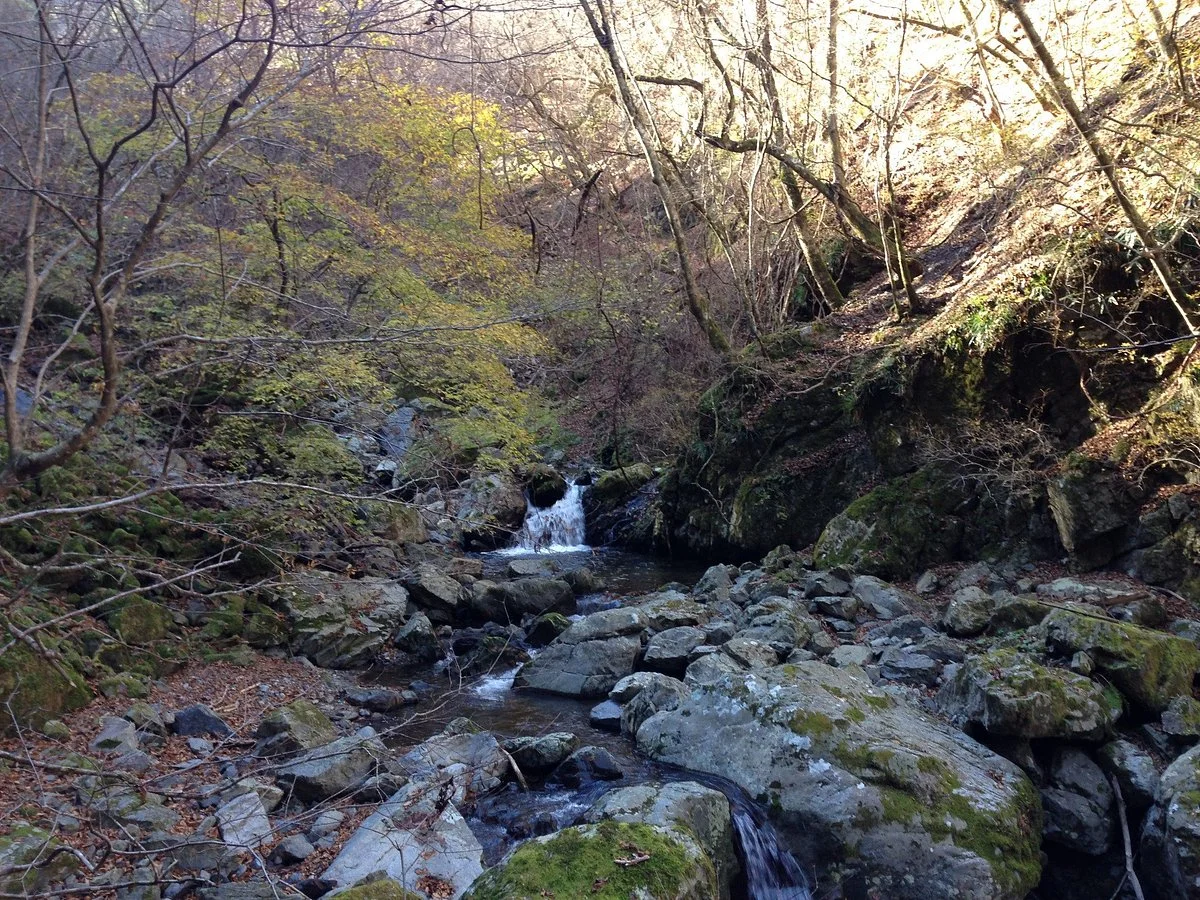 Mt. Ikegoya