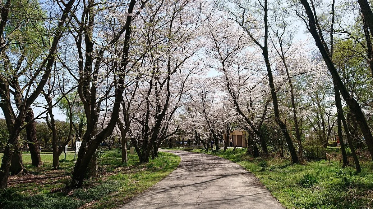 Akigase Park