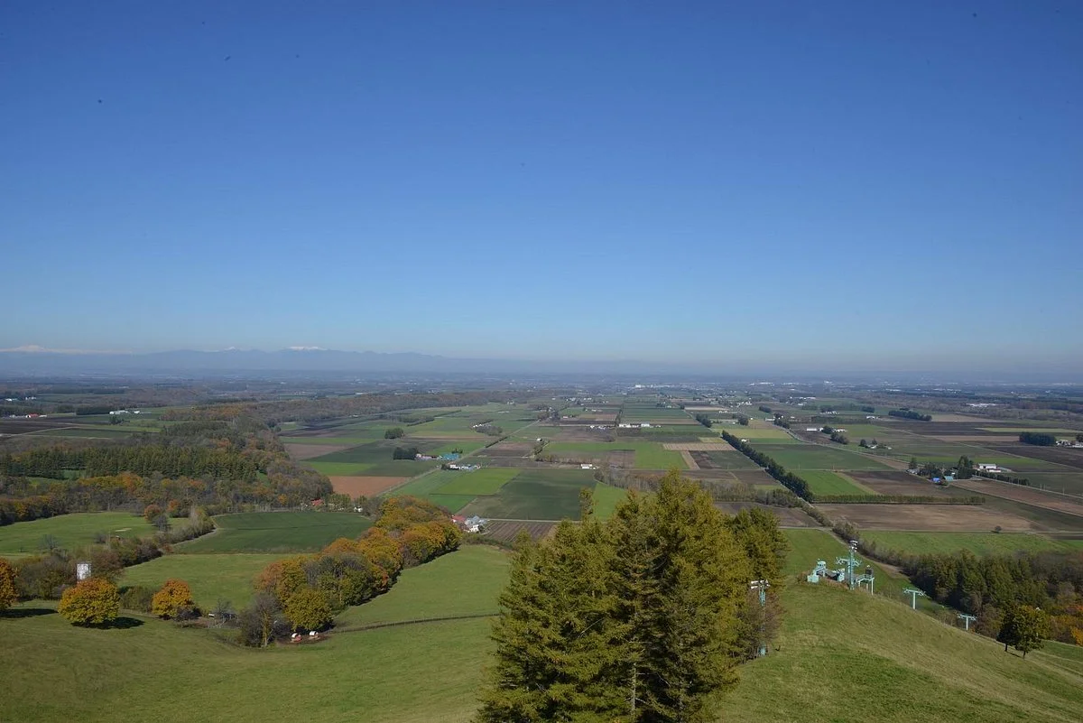 Shin Arashiyama Sky Park Observatory