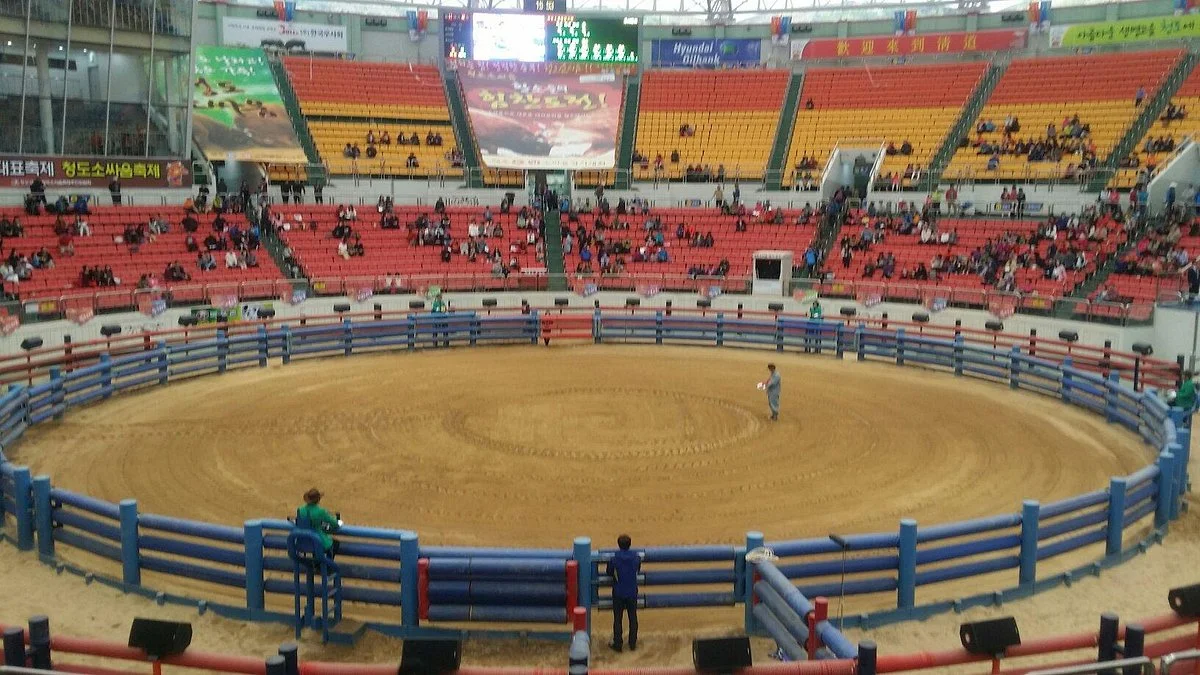 Cheongdo Bullfighting Stadium