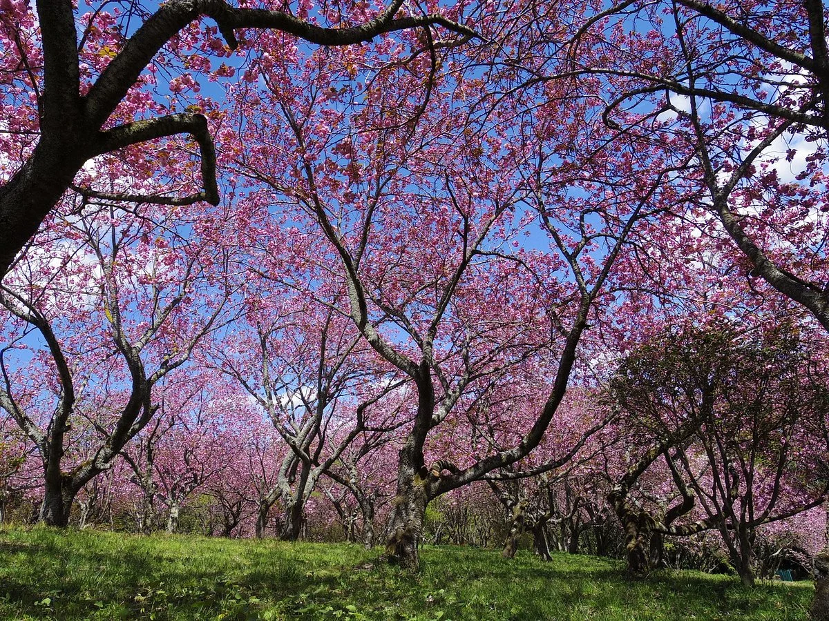 Shizumine Furusato Park