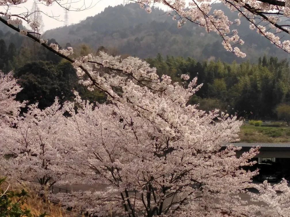 Iruka Pond