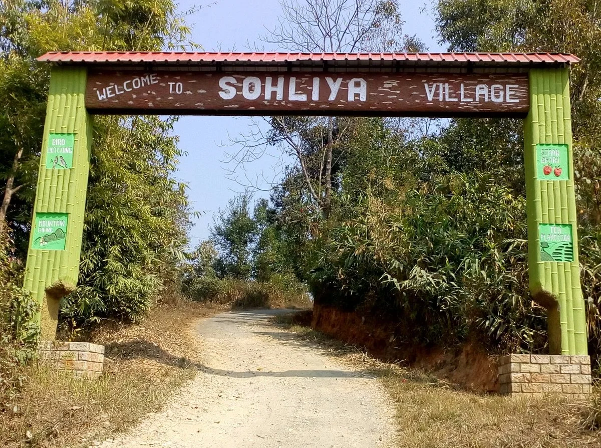 Sohliya Strawberry Farm