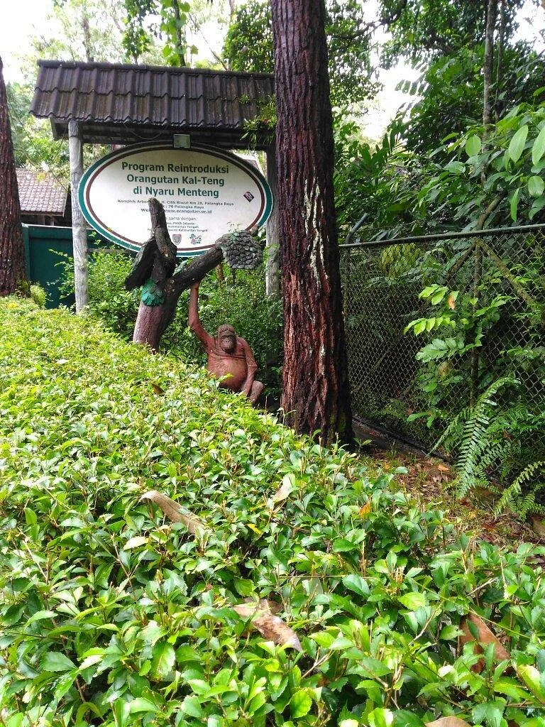 Kawasan Arboretum Nyaru Menteng