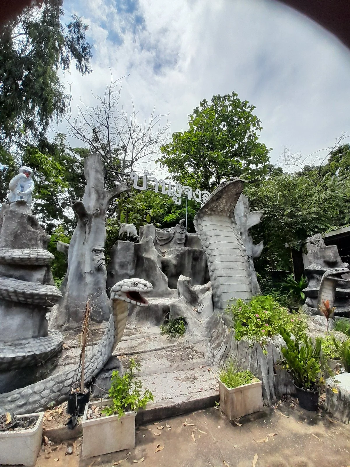King Cobra Village