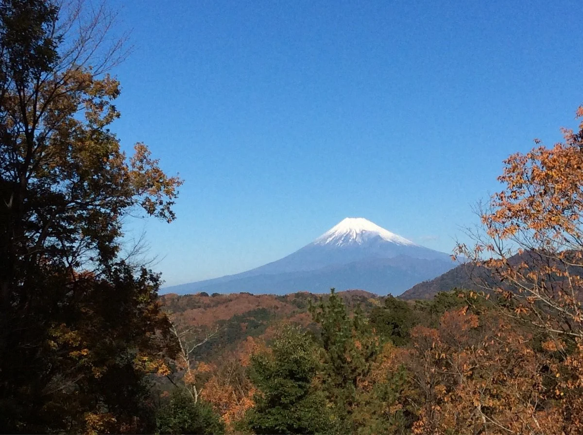 Shuzenji Momiji Festival