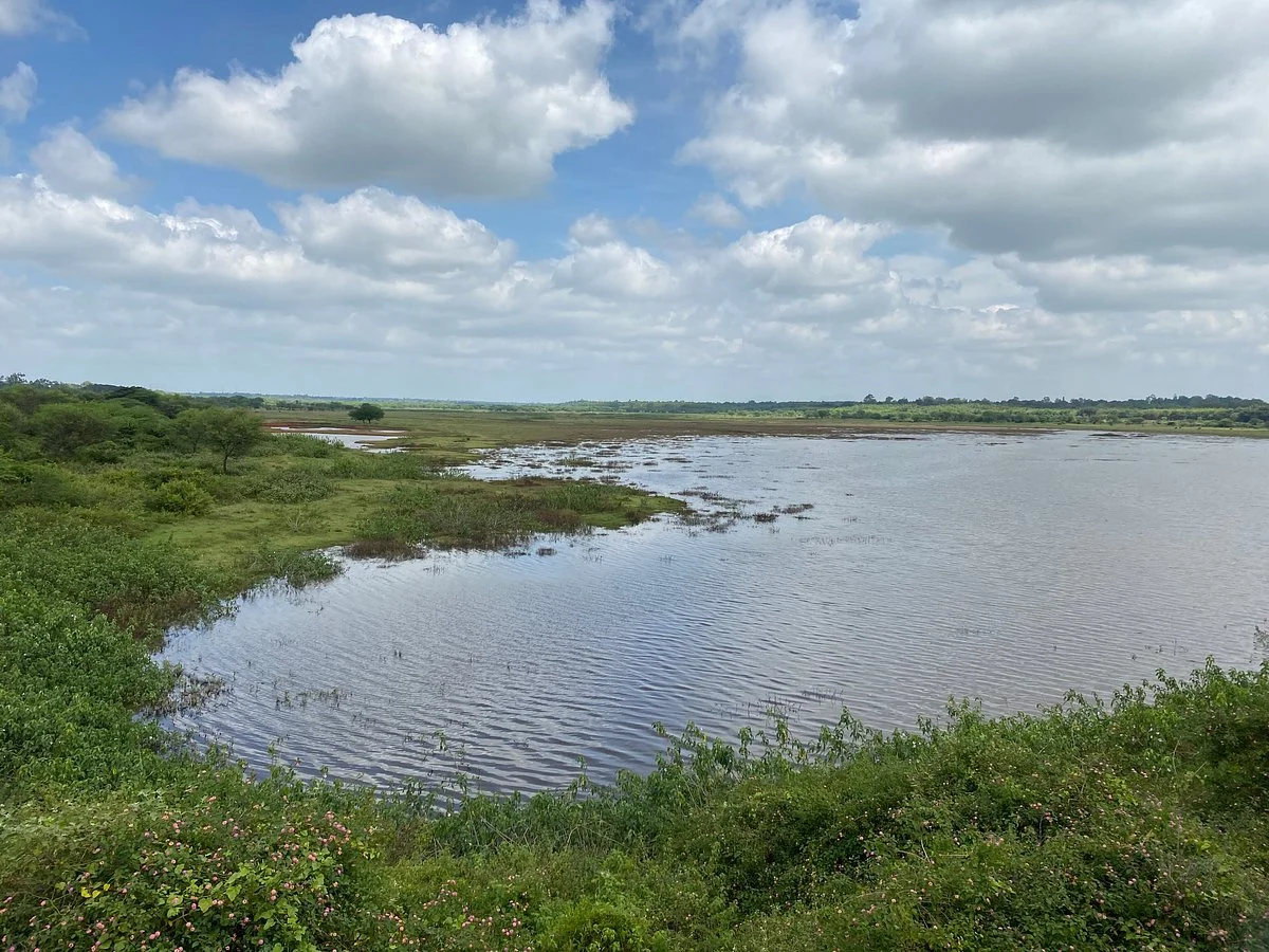 Hesaraghatta Lake