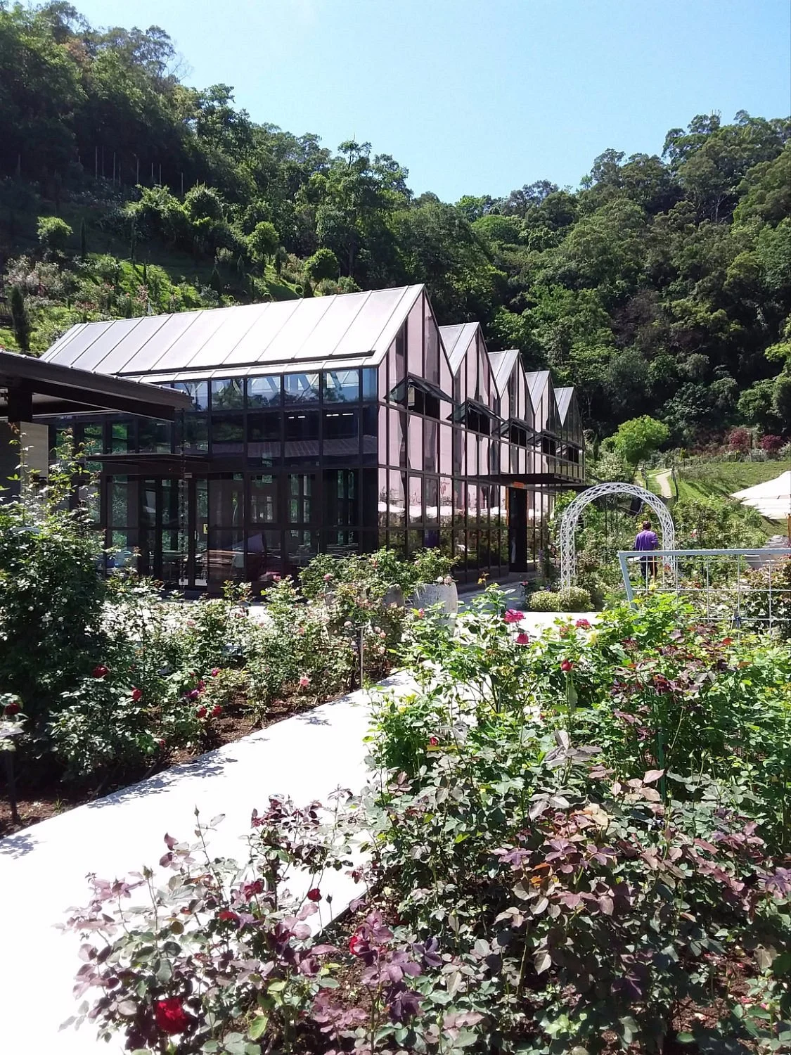 Arwin Rose & Jasmin-orange Forest Park