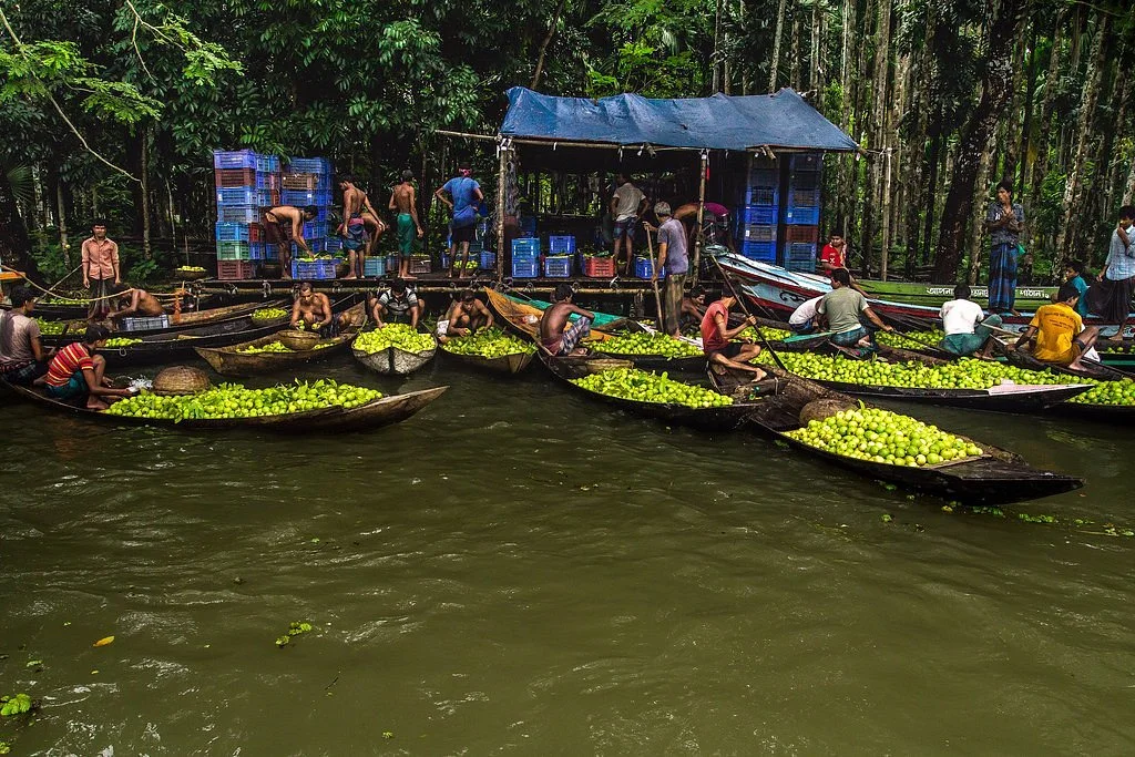 Guava Market