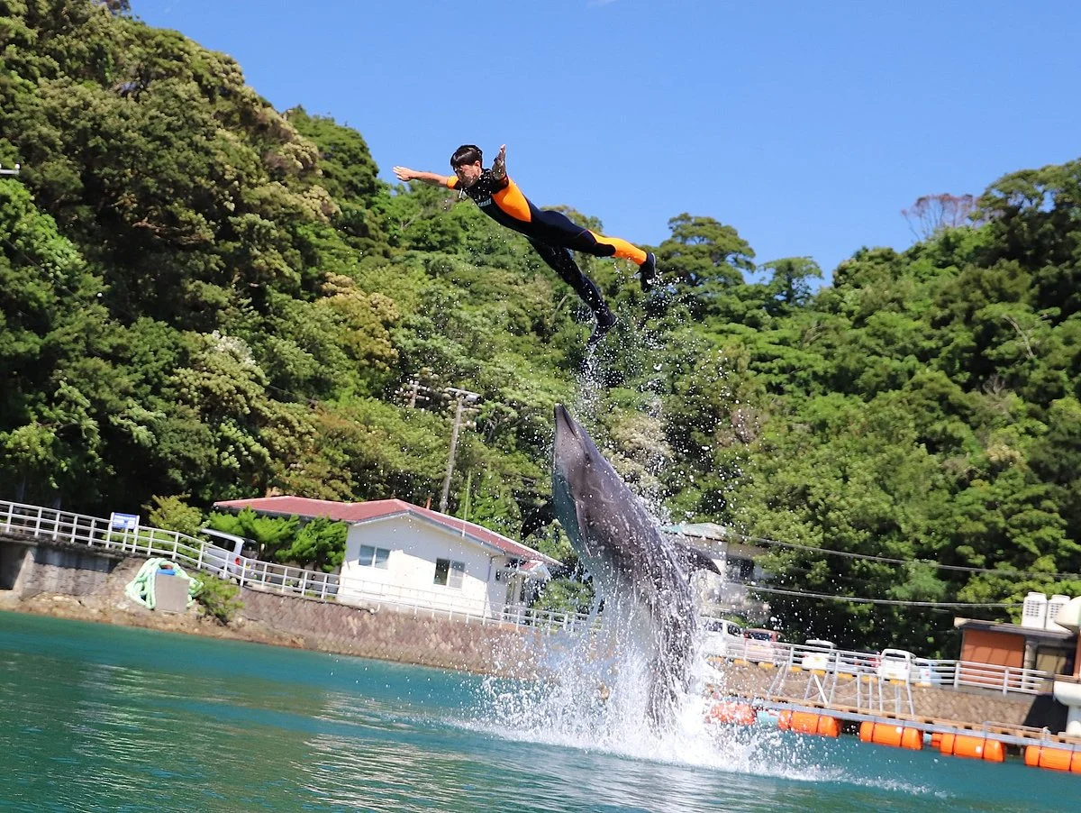 Shimoda Aquarium