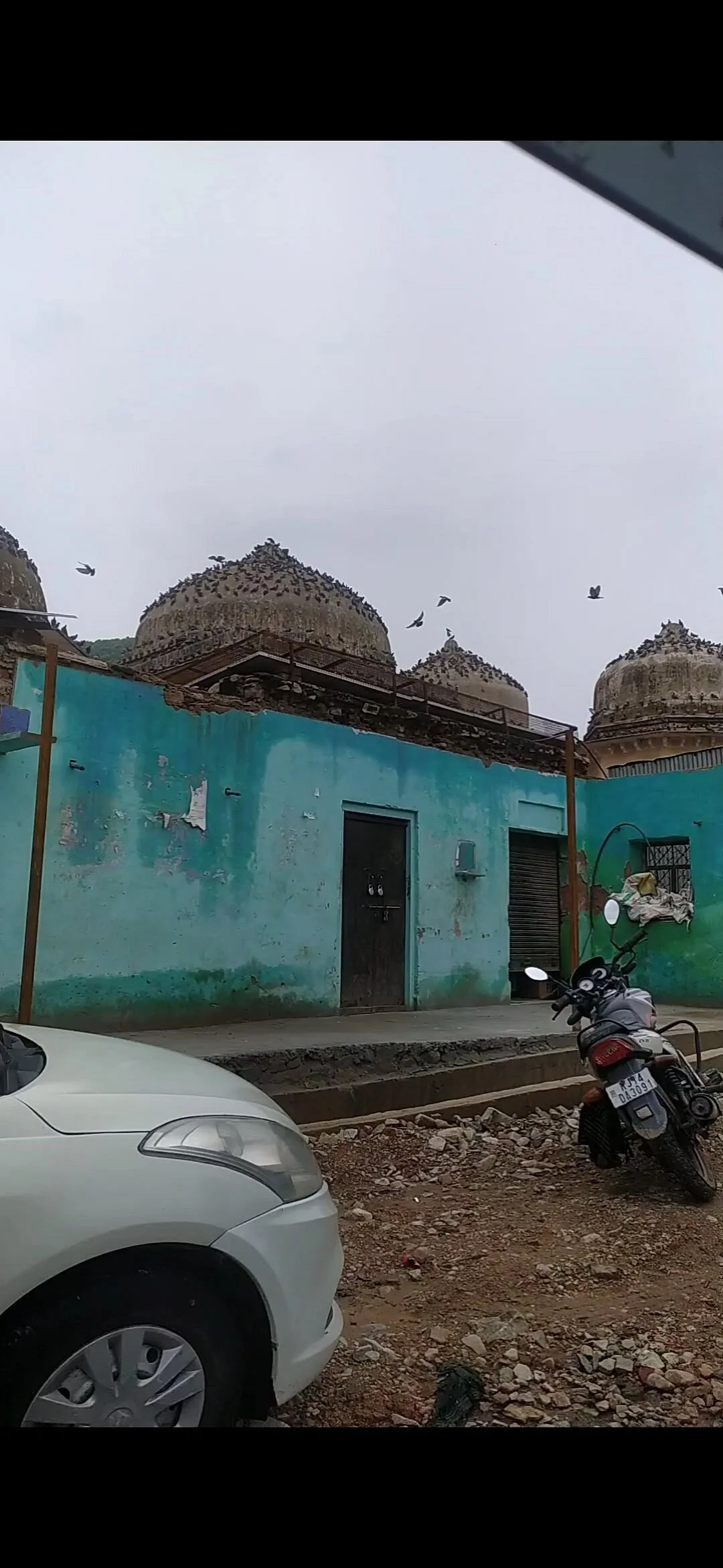 Talvriksha