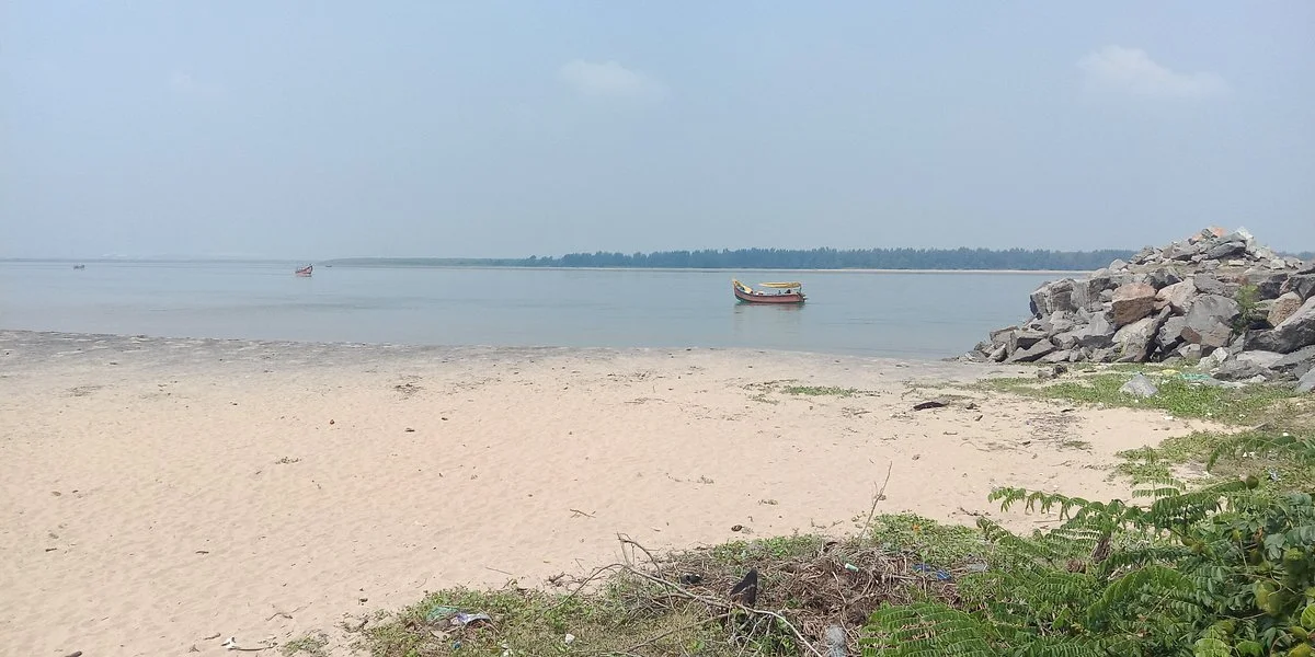 Mahanadi River Estuary