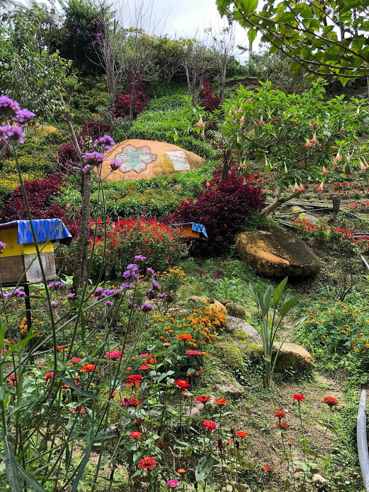 Ee Feng Gu Bee Farm