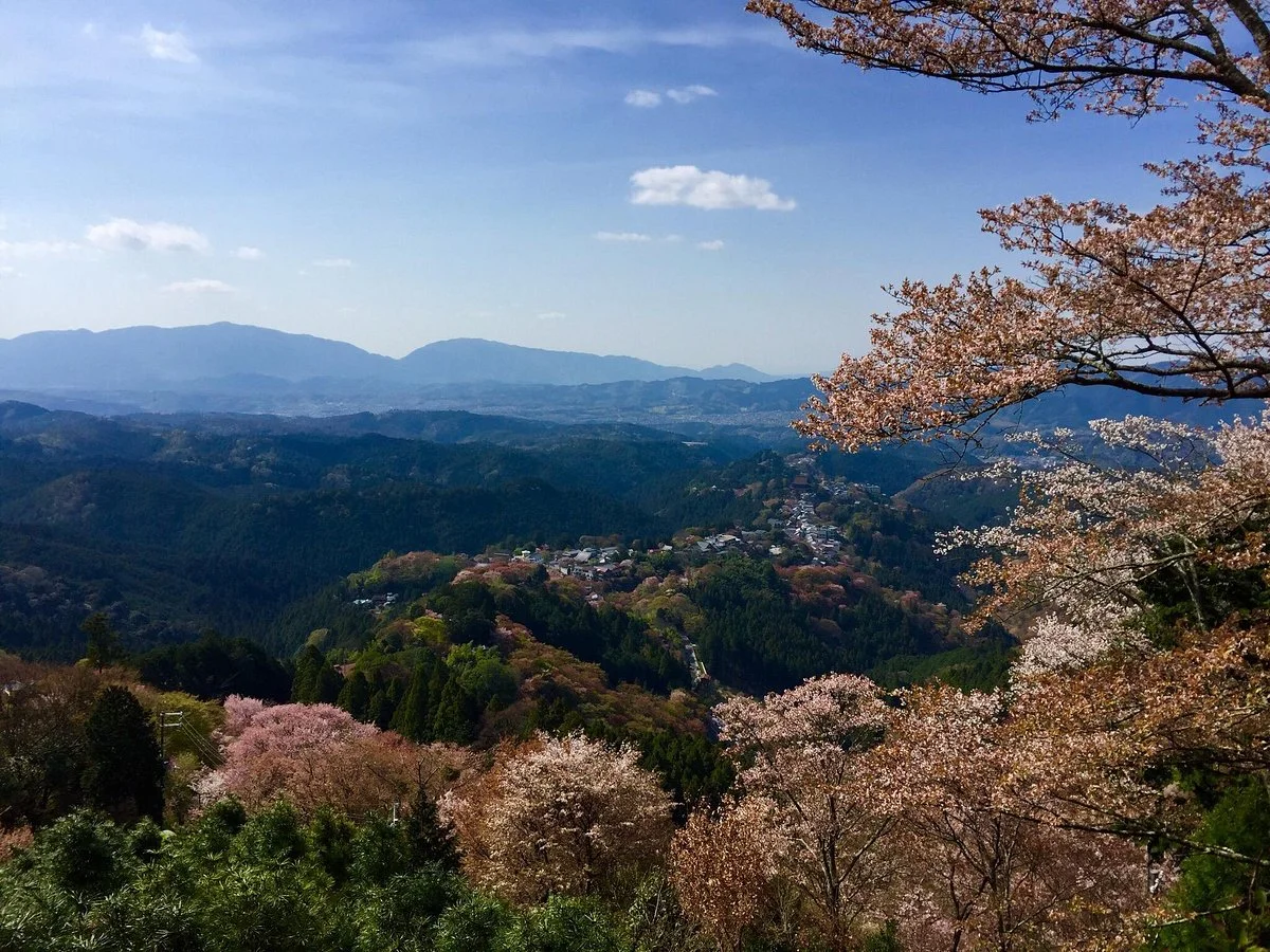 Yoshino