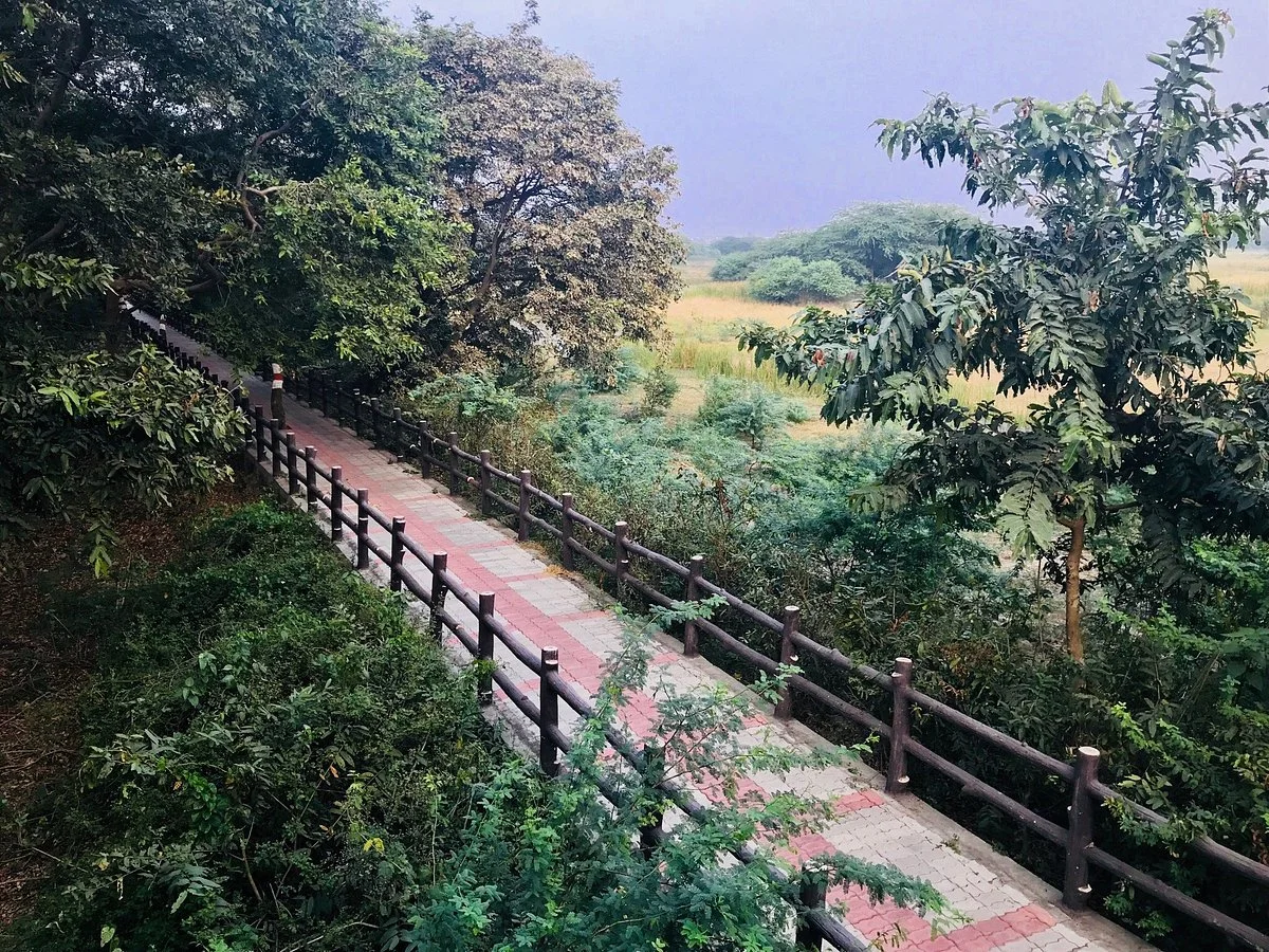Nawabganj Bird Sanctuary