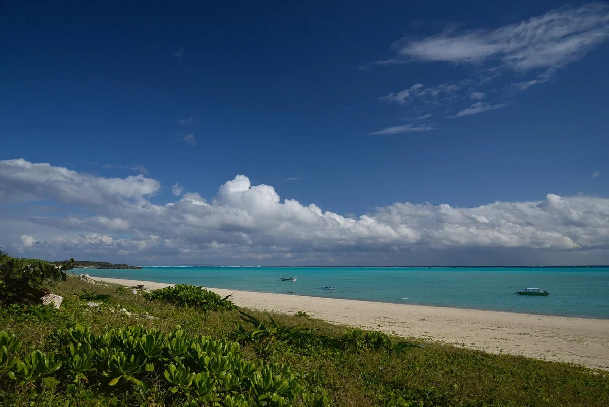 Okaneku Coast