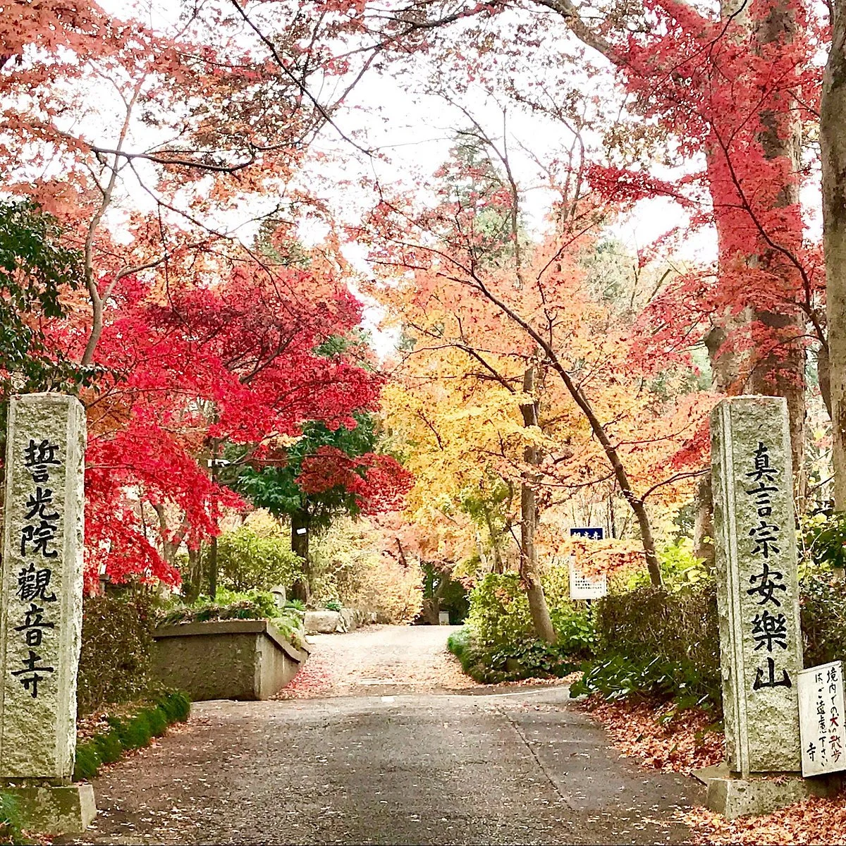 Kannon-ji Temple